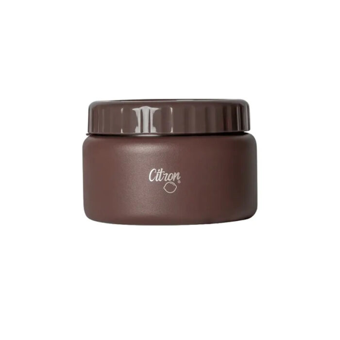 Thermos Alimentaire en Acier Inoxydable 250ml Citron - MARRON